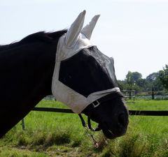 Arsen und Spitzenhäubchen