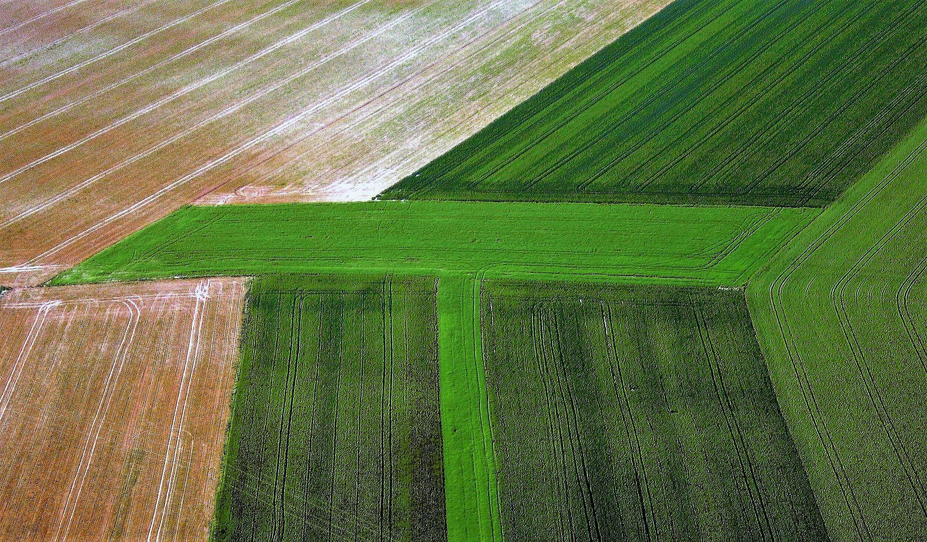 Art contemporain dans l'agriculture