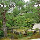Art du Jardin Japonais