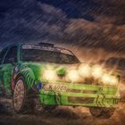 Art of Rallye