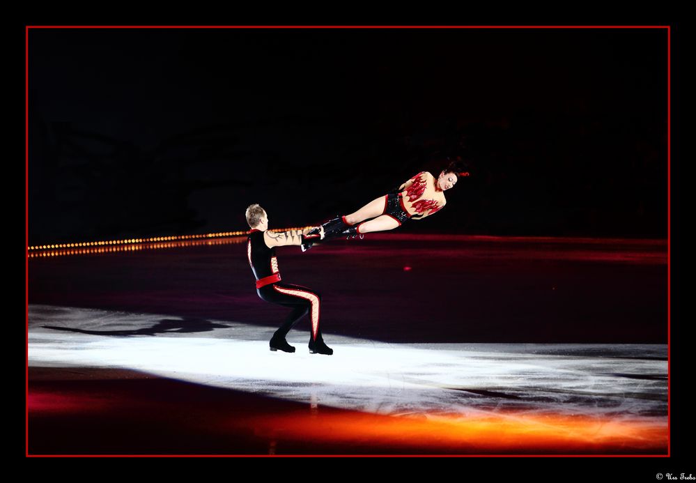 Art on Ice (4)