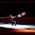 Art on Ice (4)