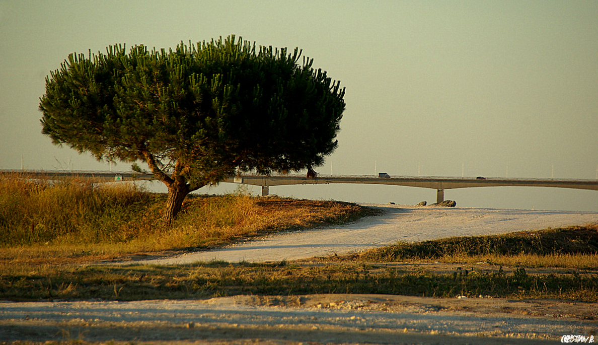 Art pompier:pin,pont...