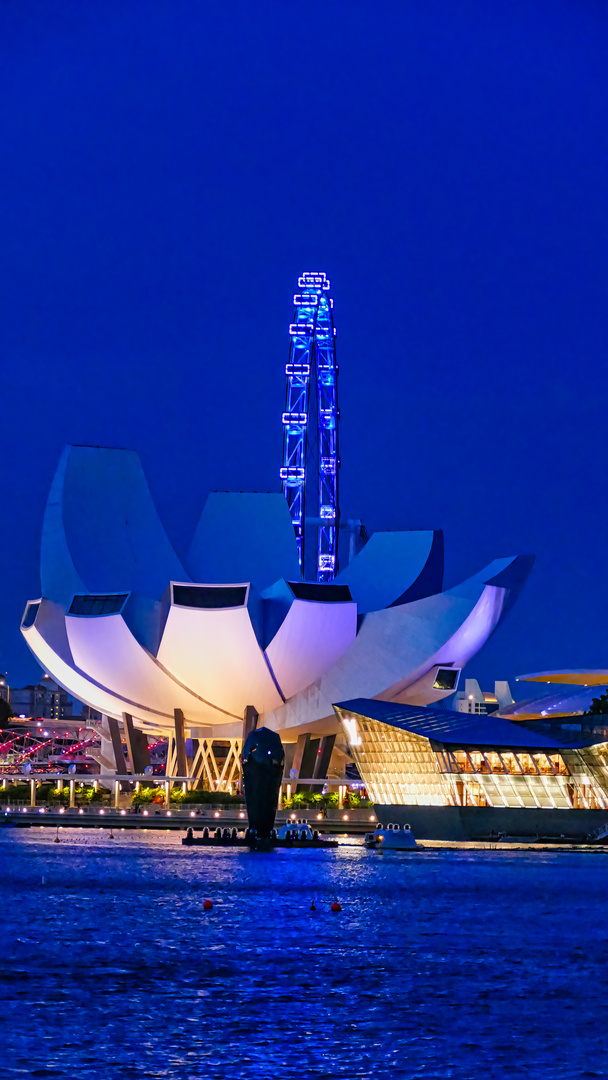 Art science museum by Night