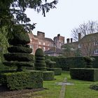  Art topiaire à Madingley Hall  --  Cambridge  -- Buchsbaumgestaltung in Madingley Hall