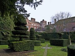  Art topiaire à Madingley Hall  --  Cambridge  -- Buchsbaumgestaltung in Madingley Hall