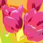 ART -Tulpe