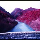 Arta color infrared