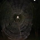 Arte Araña