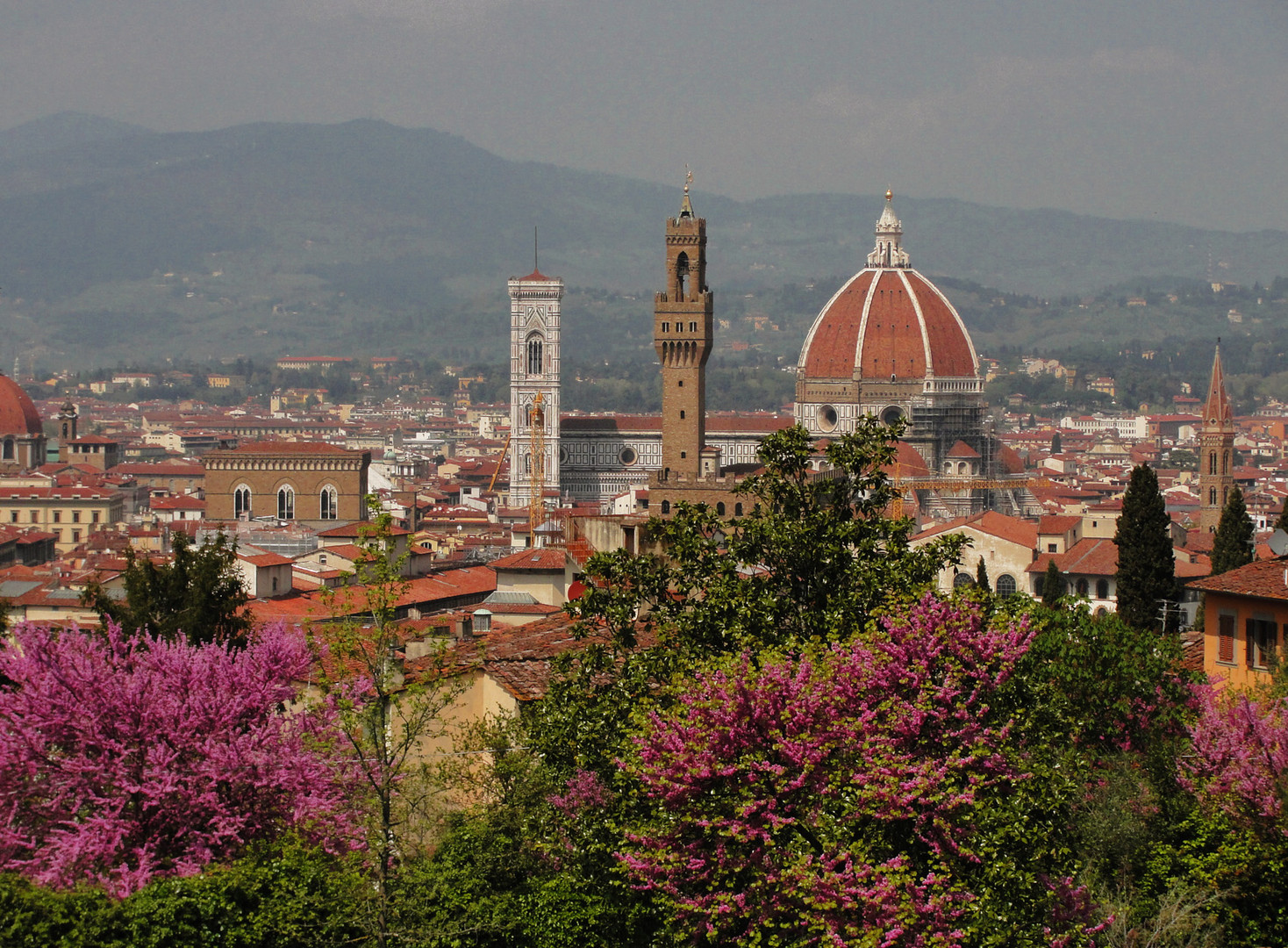 ARTE - CULTURA - STORIA (PANORAMA)