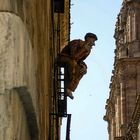 Arte en las calles de Salamanca 1