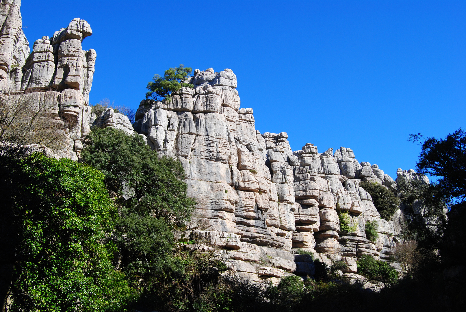 ARTE EN PIEDRA