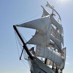 Artemis Tall Ship