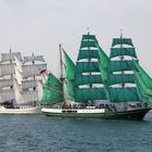 Artemis und Alexander von Humboldt I