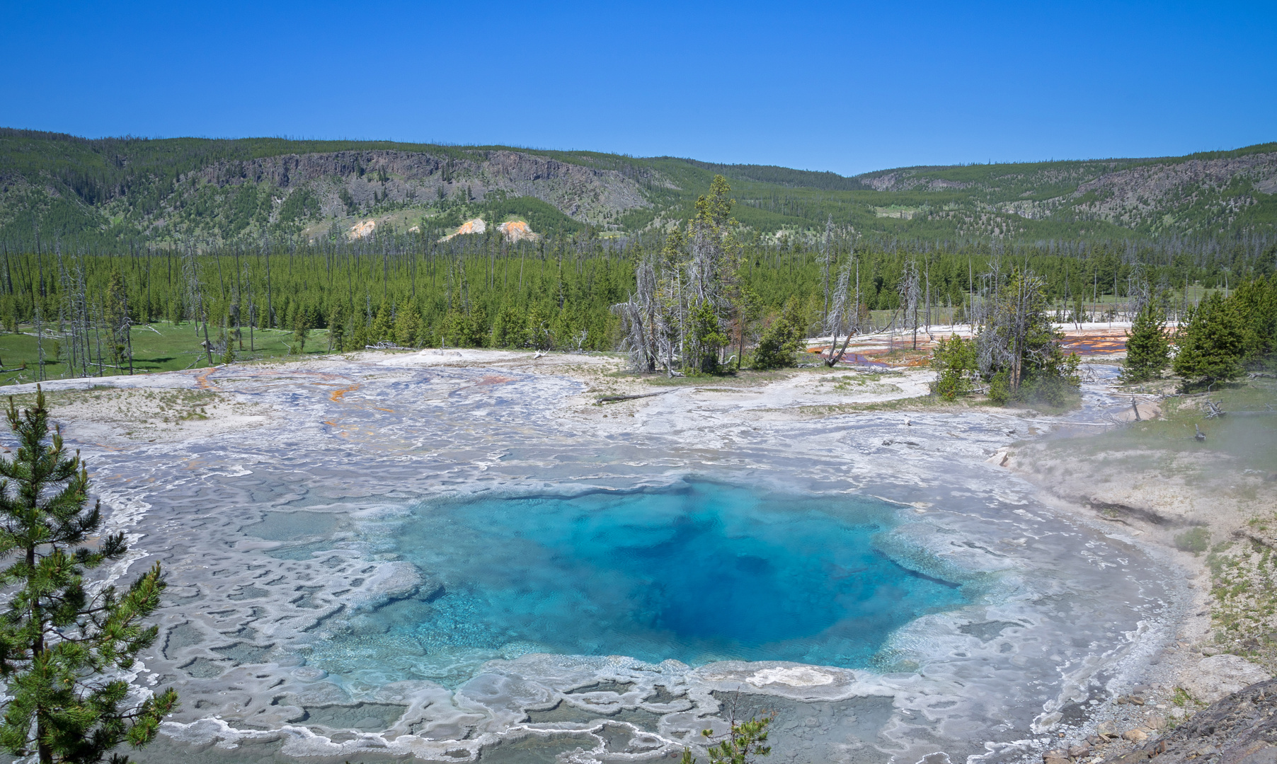 Artemisia Geyser