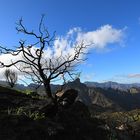 Artenara Umgebung mit Blick auf dem Roque Bentayga