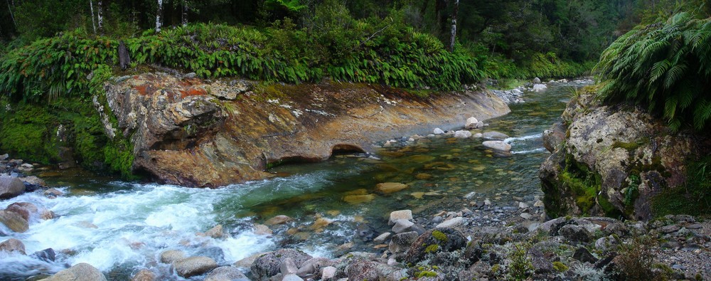 Artère de Forêt Humide d'altitude