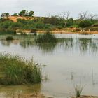 * Artesian Wetlands / Mungerinnie Station / Birdsville Track SA *