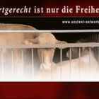 Artgerecht ist nur die Freiheit