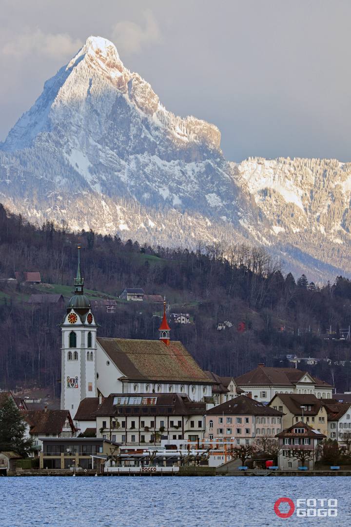 Arth am See _8365