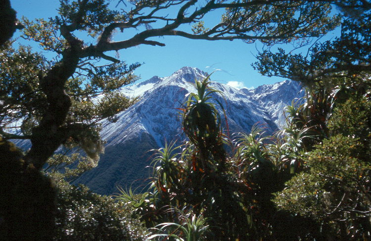 Arthur's Pass