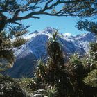 Arthur's Pass