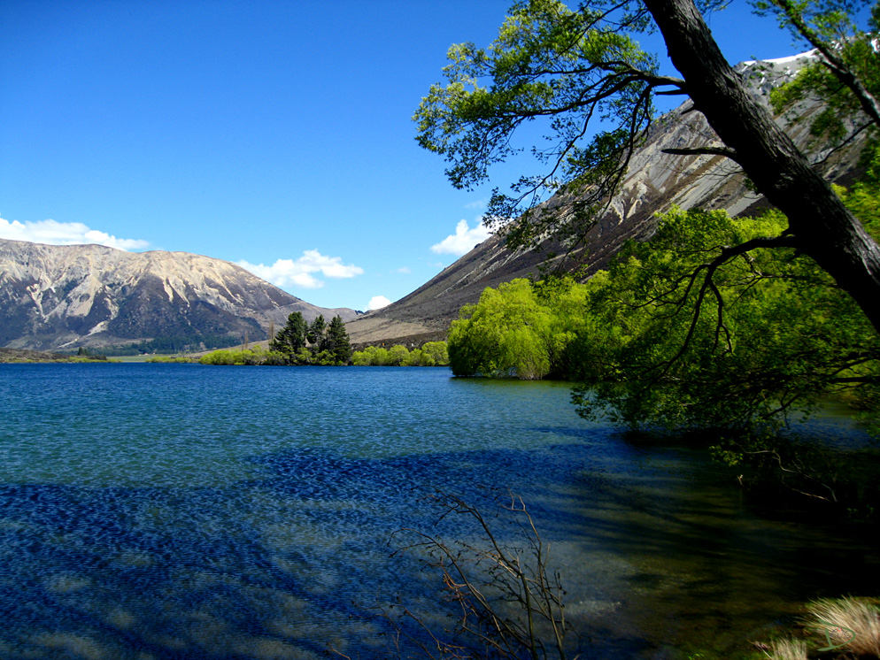 arthurs pass 5