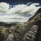 Arthurs Seat