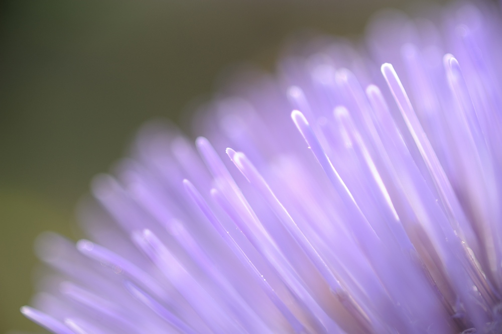 Artichocke - mal anders