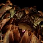 Artichoke