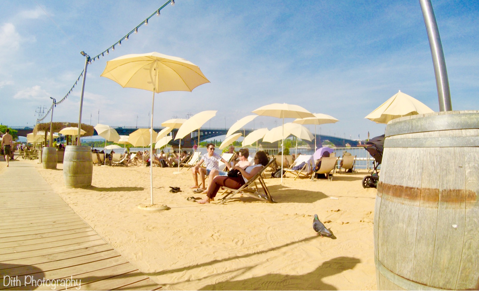 Artificial Beach along Rhein River