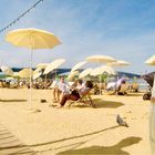 Artificial Beach along Rhein River