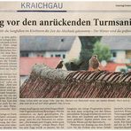 artikel in der rnz