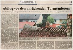 artikel in der rnz