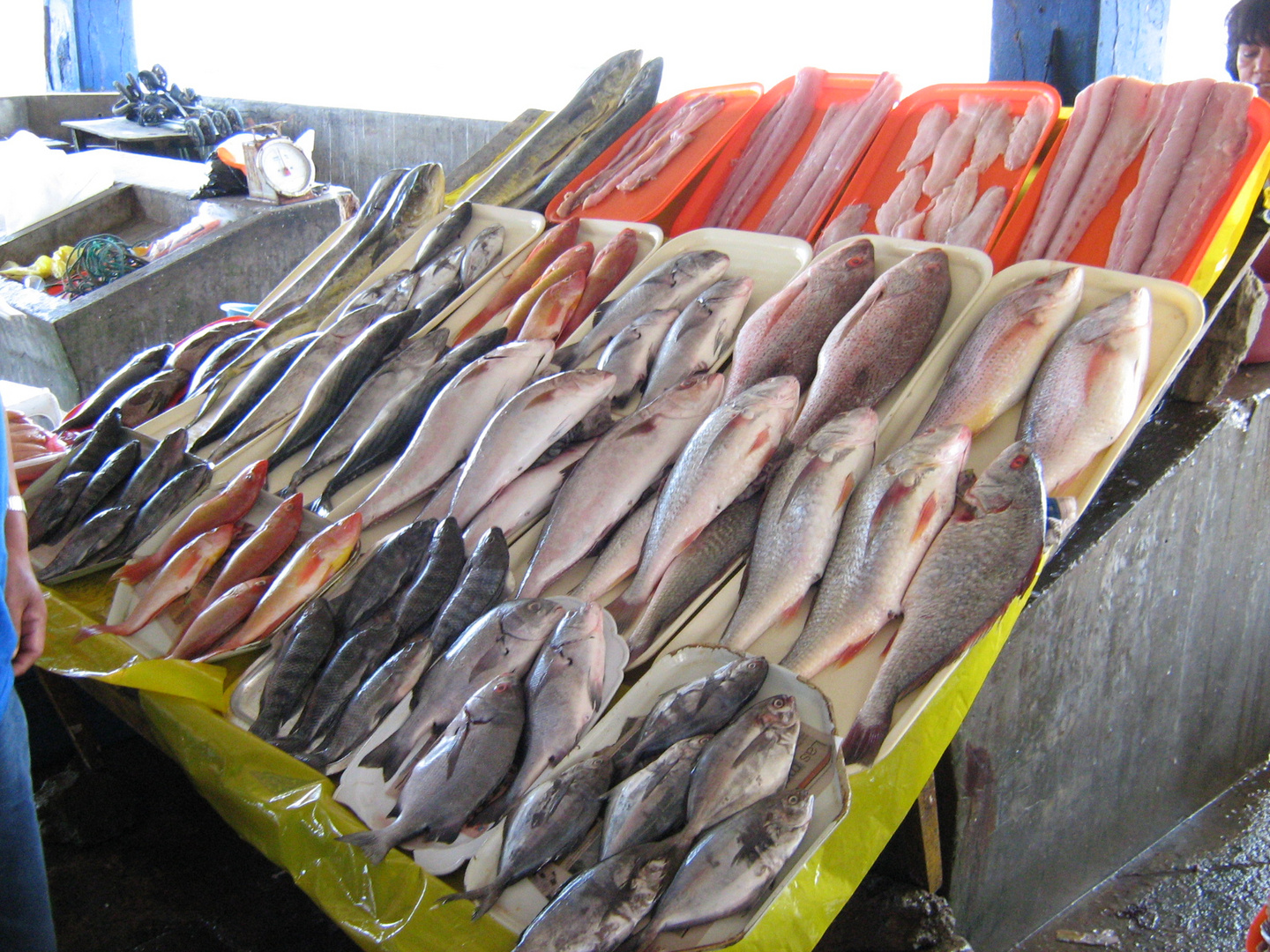 Artisanal fishermen's union Chorrillos