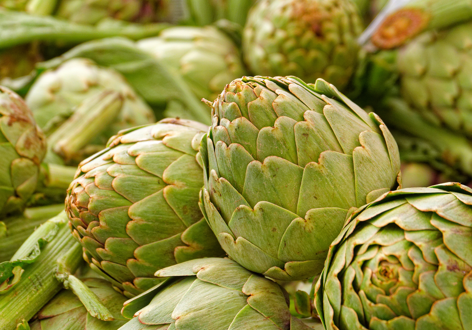 ArtiSchocke Foto &amp; Bild | stillleben, food-fotografie, obst &amp; gemüse ...