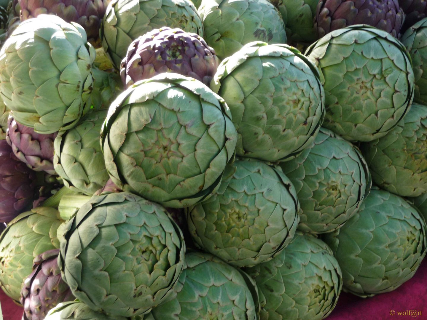 Artischoken auf dem Markt von Saint Remy/Provence