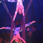 Artisten im Circus Roncalli