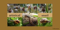 artistical snail