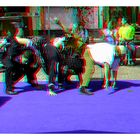 ,,Artistische Clownerie'' in 3D (Rot/Cyan)