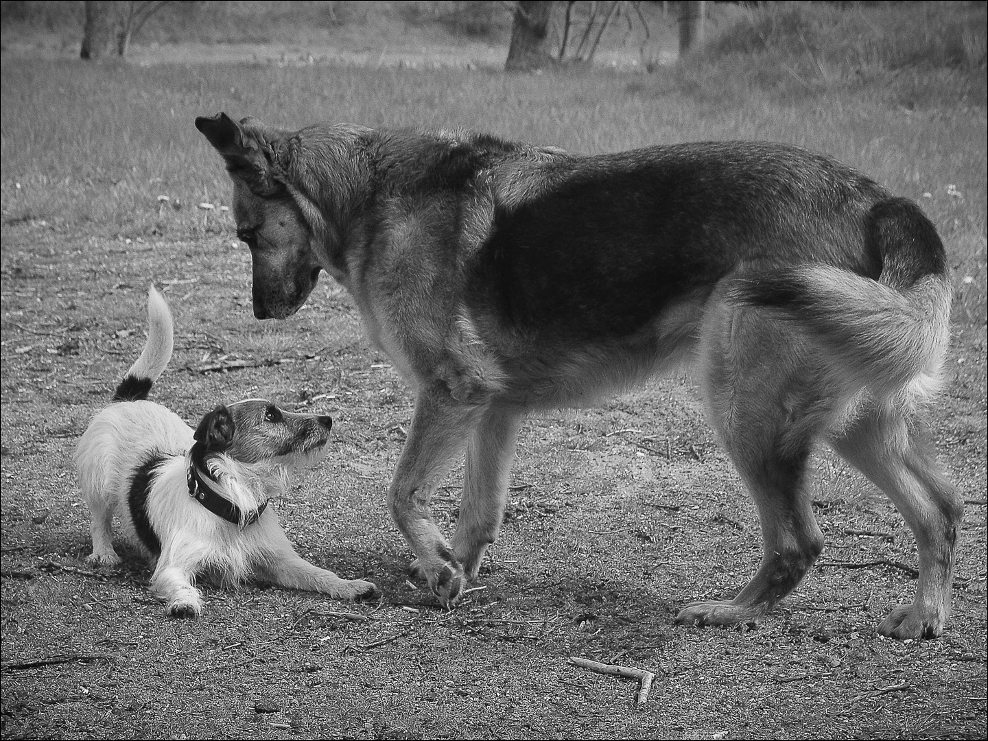 Artur und Leni