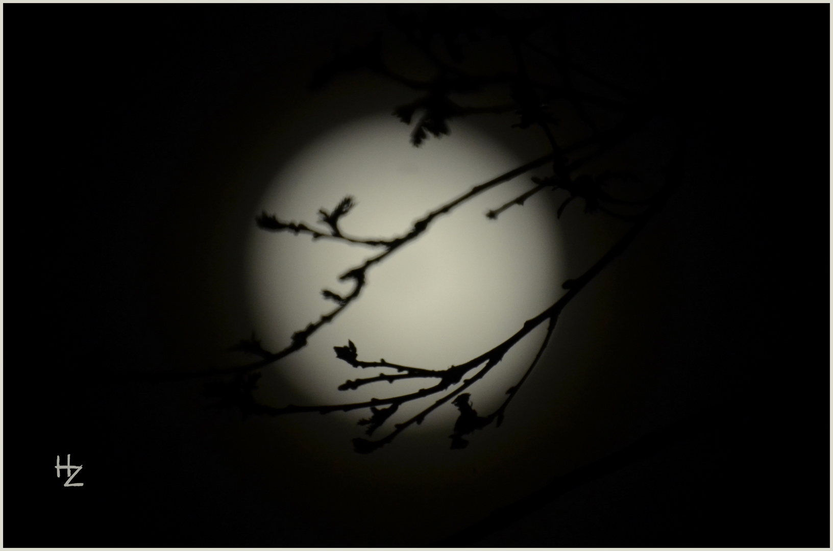 "arty moon" :)