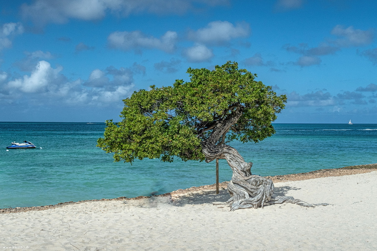 Aruba