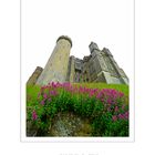 ARUNDEL CASTLE