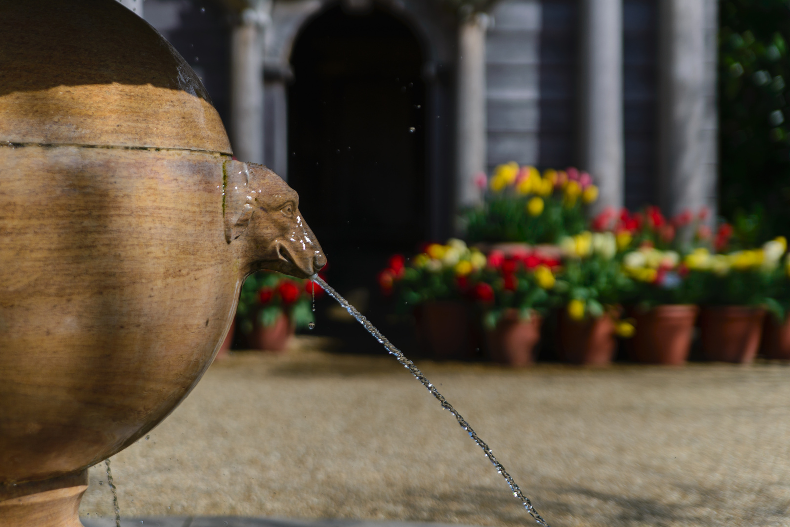 [ Arundel Castle Gardens 2 ]