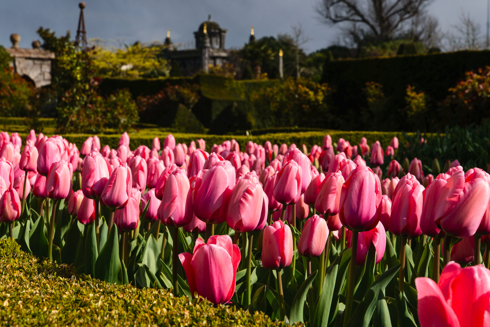 [ Arundel Castle Gardens 3 ]