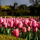 [ Arundel Castle Gardens 3 ]