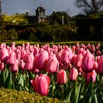 [ Arundel Castle Gardens 3 ]