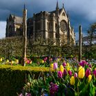 [ Arundel Castle Gardens 4 - Arundel Cathedral ]