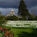 [ Arundel Castle Gardens ]